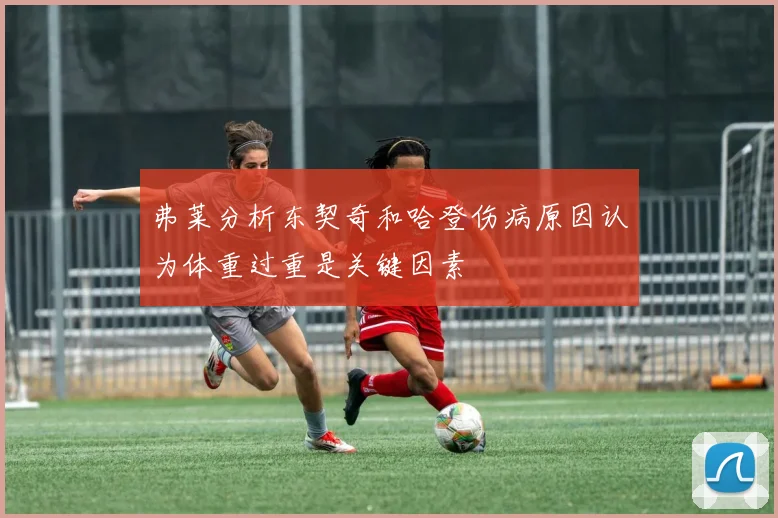 弗莱分析东契奇和哈登伤病原因认为体重过重是关键因素