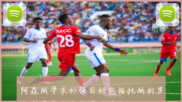 阿森纳寻求补强目标包括托纳利罗杰斯莱奥也在推荐名单中